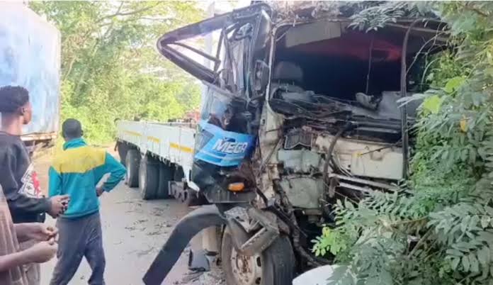 Madhya Pradesh Horror: Truck Crashes into Sheetla Mata Temple, 12 Devotees Killed