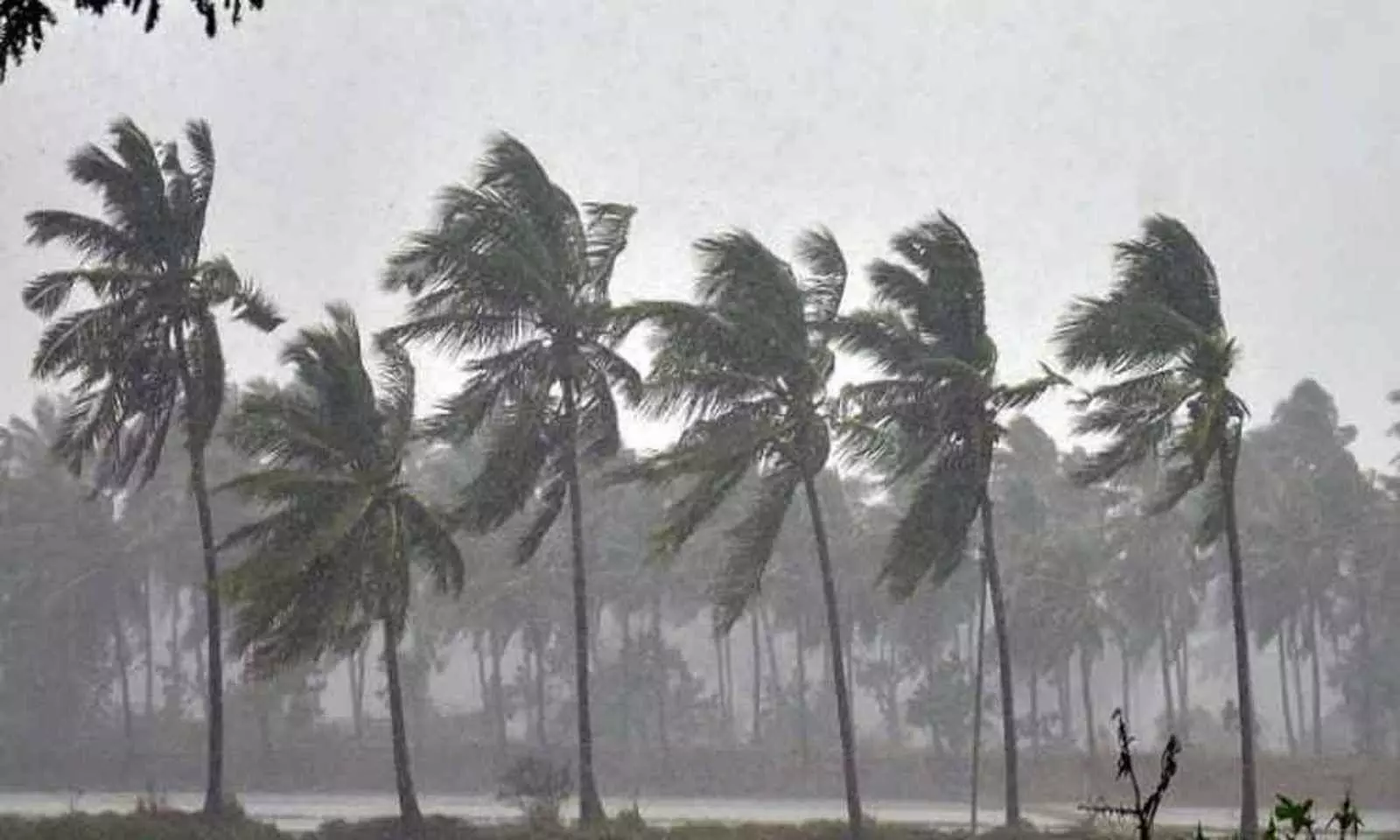 Heavy Rainfall Forecast in the State