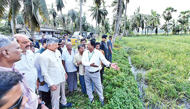 Cyclone Arnab Causes Heavy Damage in AP
