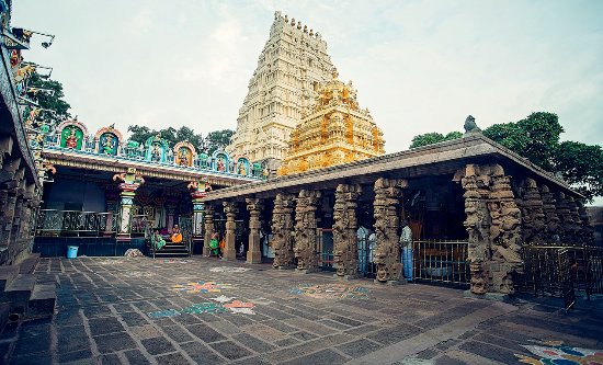 Heavy Devotee Rush Prompts Key Darshan Decision at Temple
