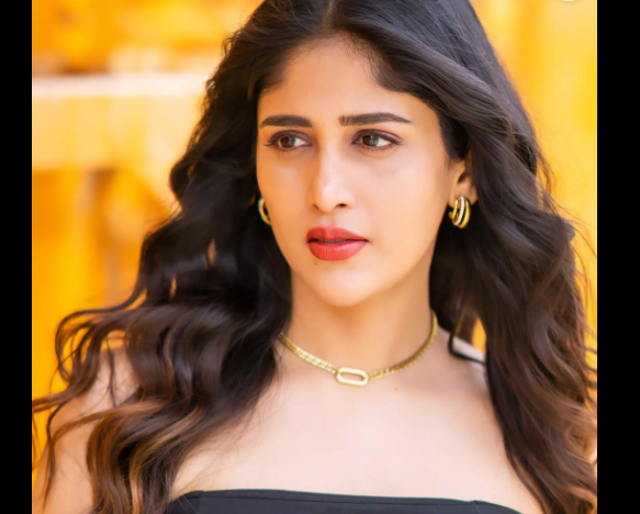 Actress Chandini Shares Emotional Post on Delayed Payments