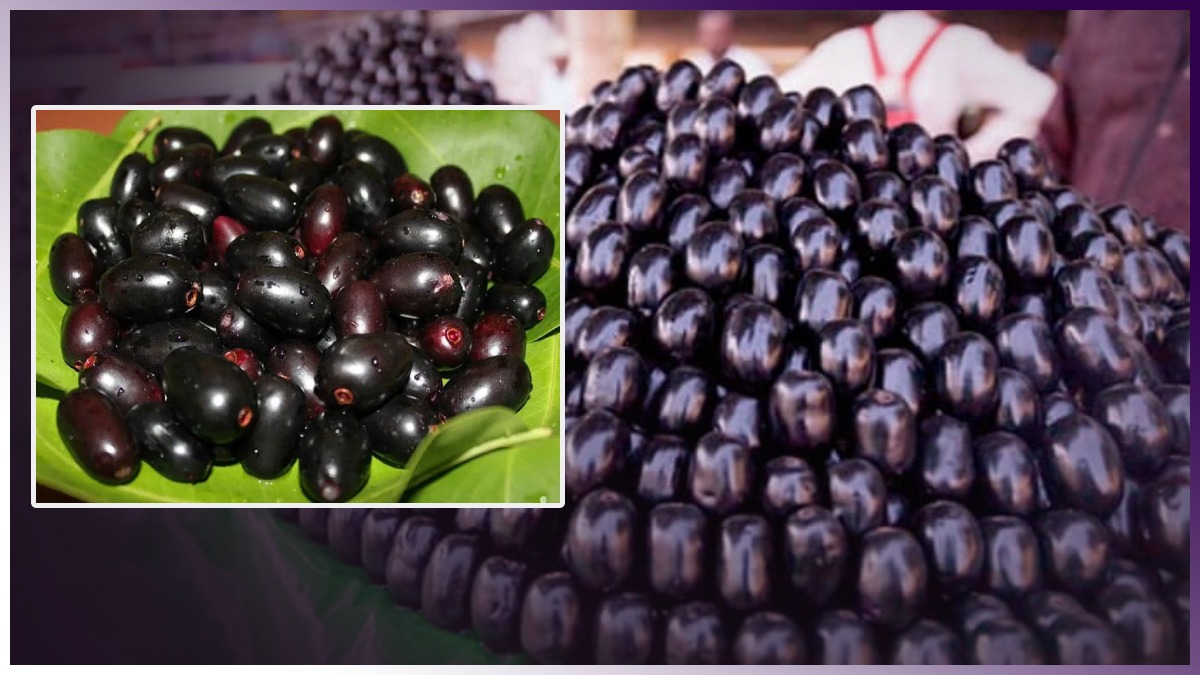 Doctors recommend consuming jamun in summer