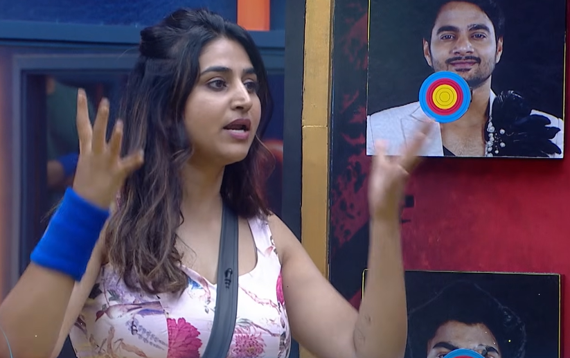 బిగ్ బాస్ 10: రోహిత్పై వర్షిణి ఒక్క కామెంట్.. అసలు ఏం చెప్పాలనుకుంది?