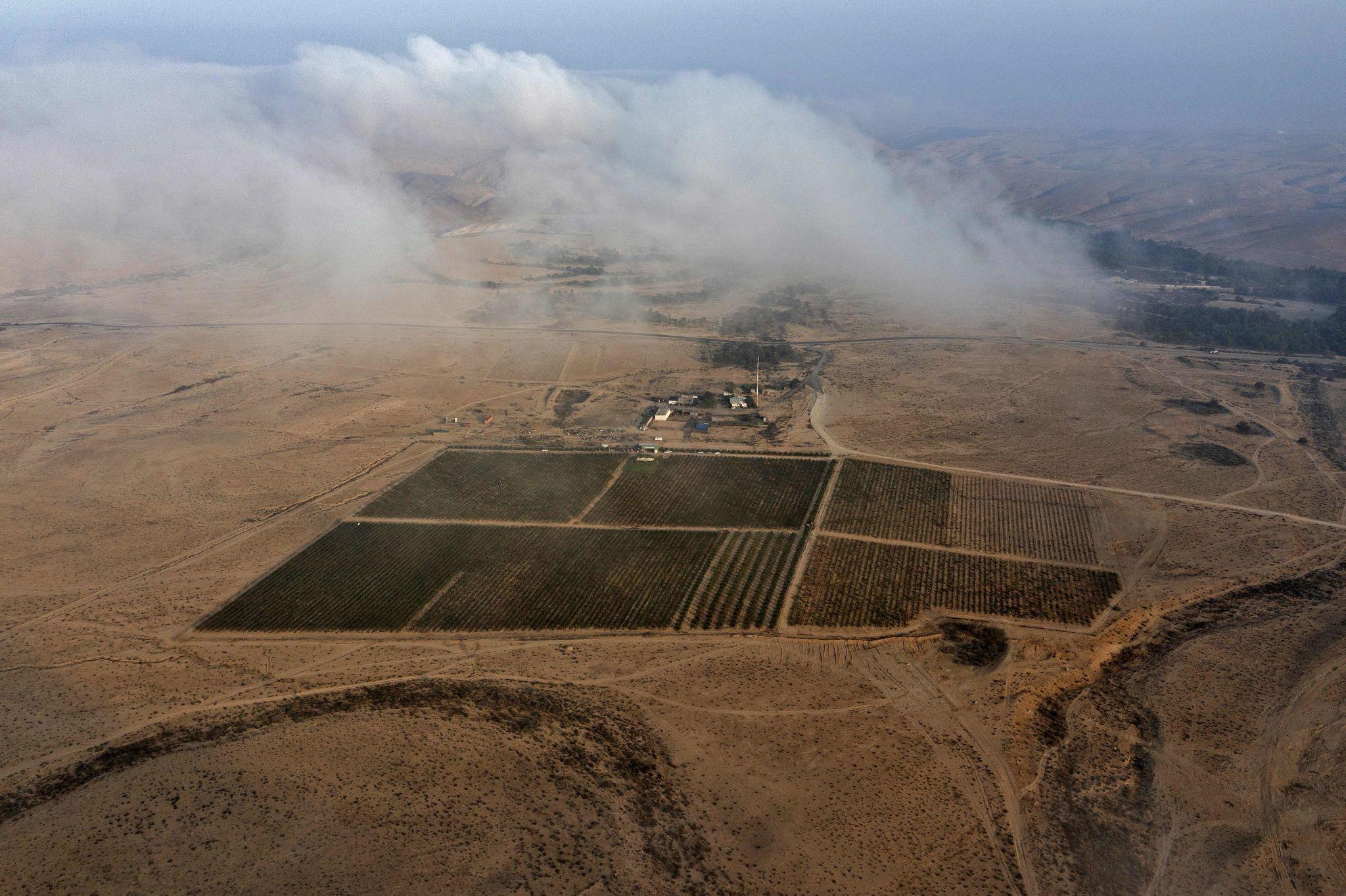 Israel Turns Desert Into Global Wine Hub!