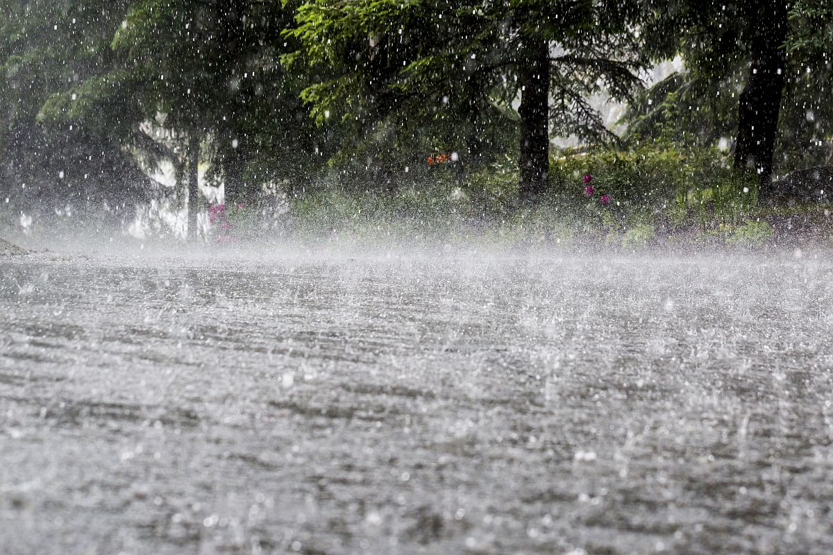 Red Alert for Delhi, Haryana as Heavy Rains Lash North India