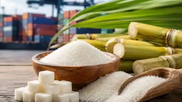 షుగర్ ఎగుమతులపై నిషేదం – కేంద్రం
