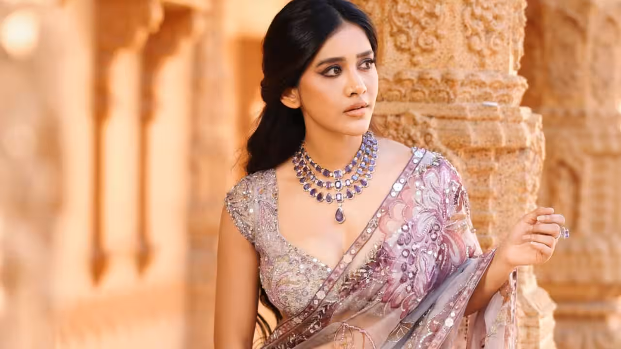 నాగబంధంలో బలమైన పాత్రలో నభా నటేష్