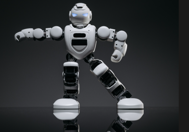 Human-Like Bionic Robots Designed to Offer Lifelong Companionship