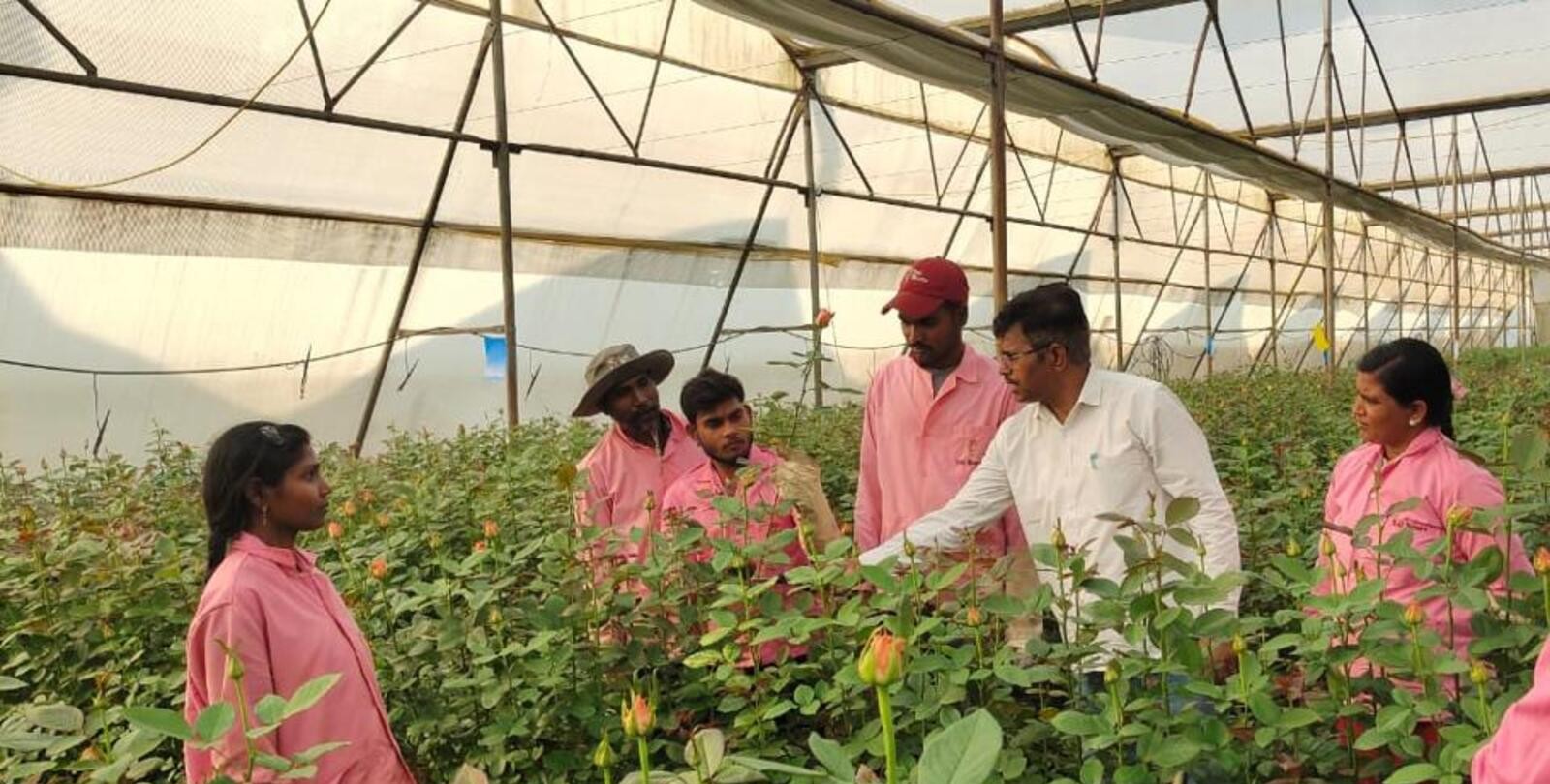 ఒక్క ఎకరాతో నెలకు లక్షల్లో ఆదాయం