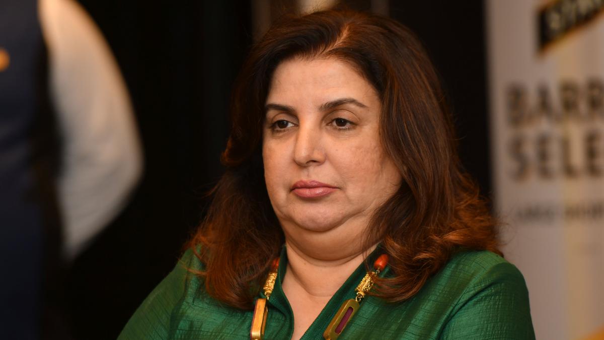 Farah Khan Says YouTube Earnings May Have Surpassed Her Best Film-Era Income