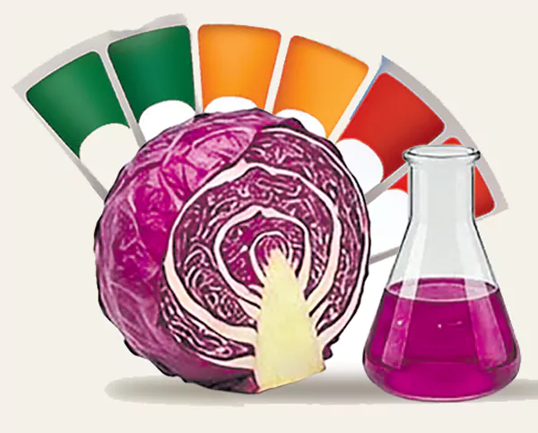 Smart Sticker Can Tell If Your Food Is Spoiling.. Here’s How