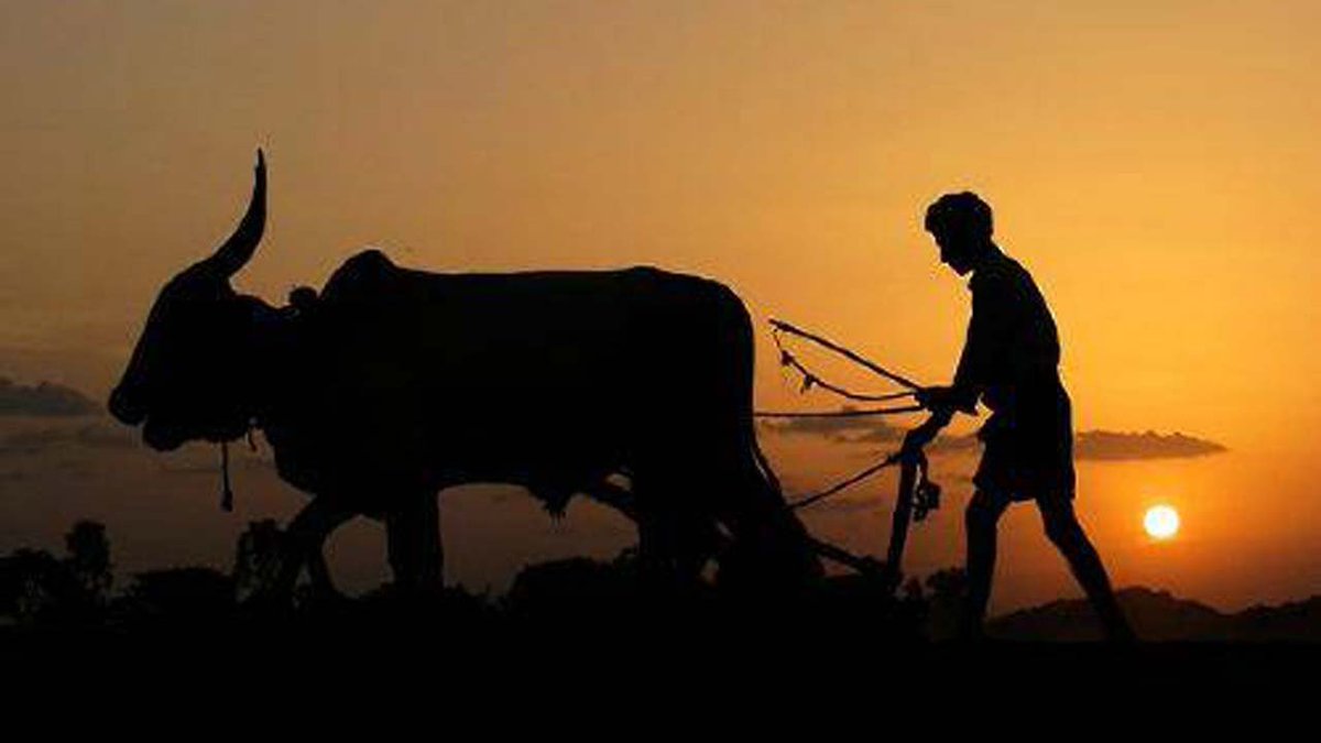 Eruvaka Punnami Greetings to Farmers