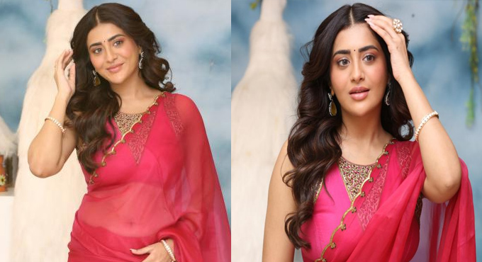 వడ్డే నవీన్ సినిమాపై రాశీ సింగ్ స్పందన