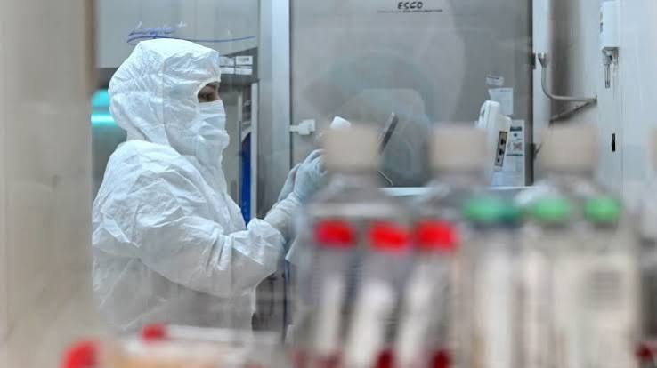 Nucelion to Provide Technical Support for Vizen Bio’s CAR-T Therapy