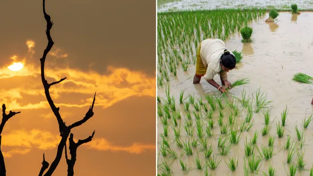 ఎల్‌నినో నేపథ్యంలో రైతులకు కమాండ్‌ కంట్రోల్‌ సెంటర్‌  