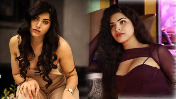 తన జీవిత ప్రయాణంపై ప్రియాంక సింగ్‌ ఎమోషనల్‌ పోస్ట్‌