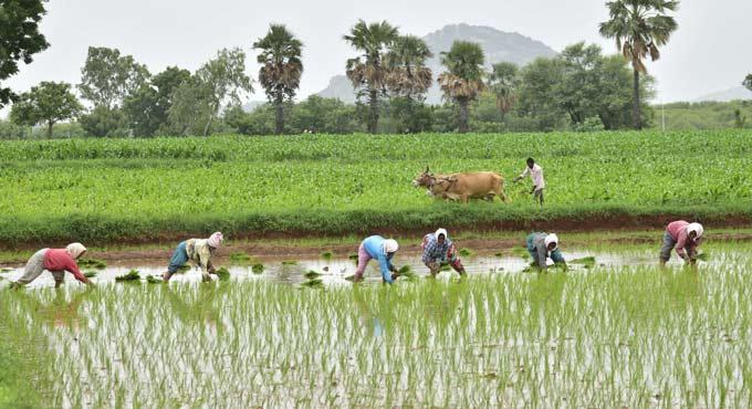 Telangana Government Announces Major Relief for Farmers