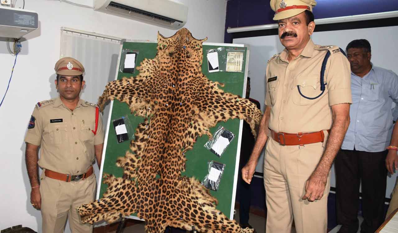 Leopard Skin and Claws Racket..!