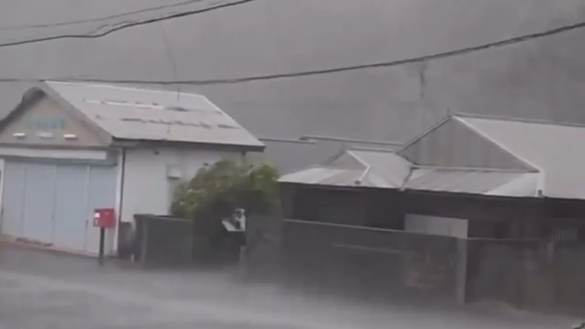 Typhoon Dolphin Batters China