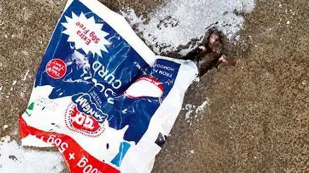 A Conspiracy to Damage the Brand's Reputation - Sangam Dairy