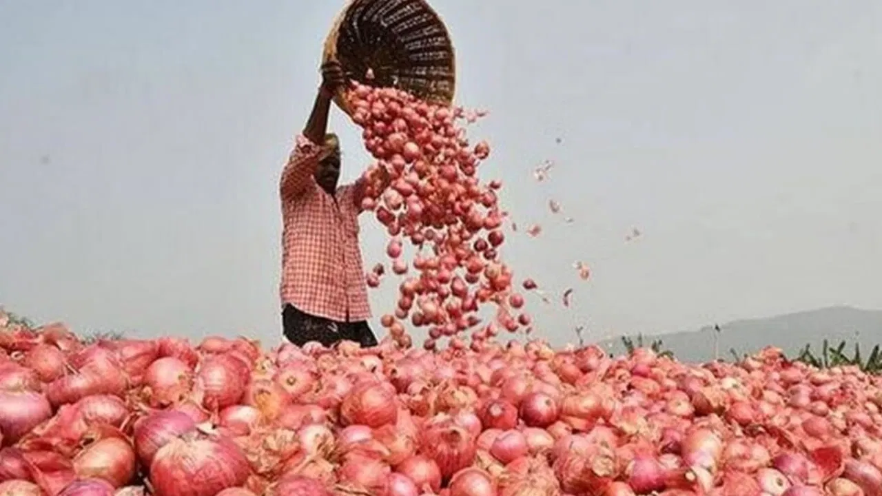 ఉల్లి రైతులకు కేంద్రం ఊరట