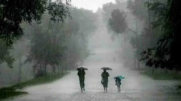 ఏపీలో నైరుతి రుతుపవనాల ప్రభావం