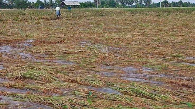 కాలువ లీకేజీతో కొండపల్లి రైతులకు పంట నష్టం
