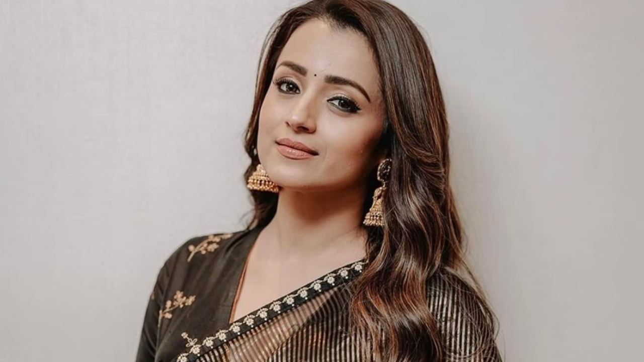 తమిళ రాజకీయాల్లో హాట్ టాపిక్‌గా త్రిష స్లీప్ రికవరీ పోస్ట్....