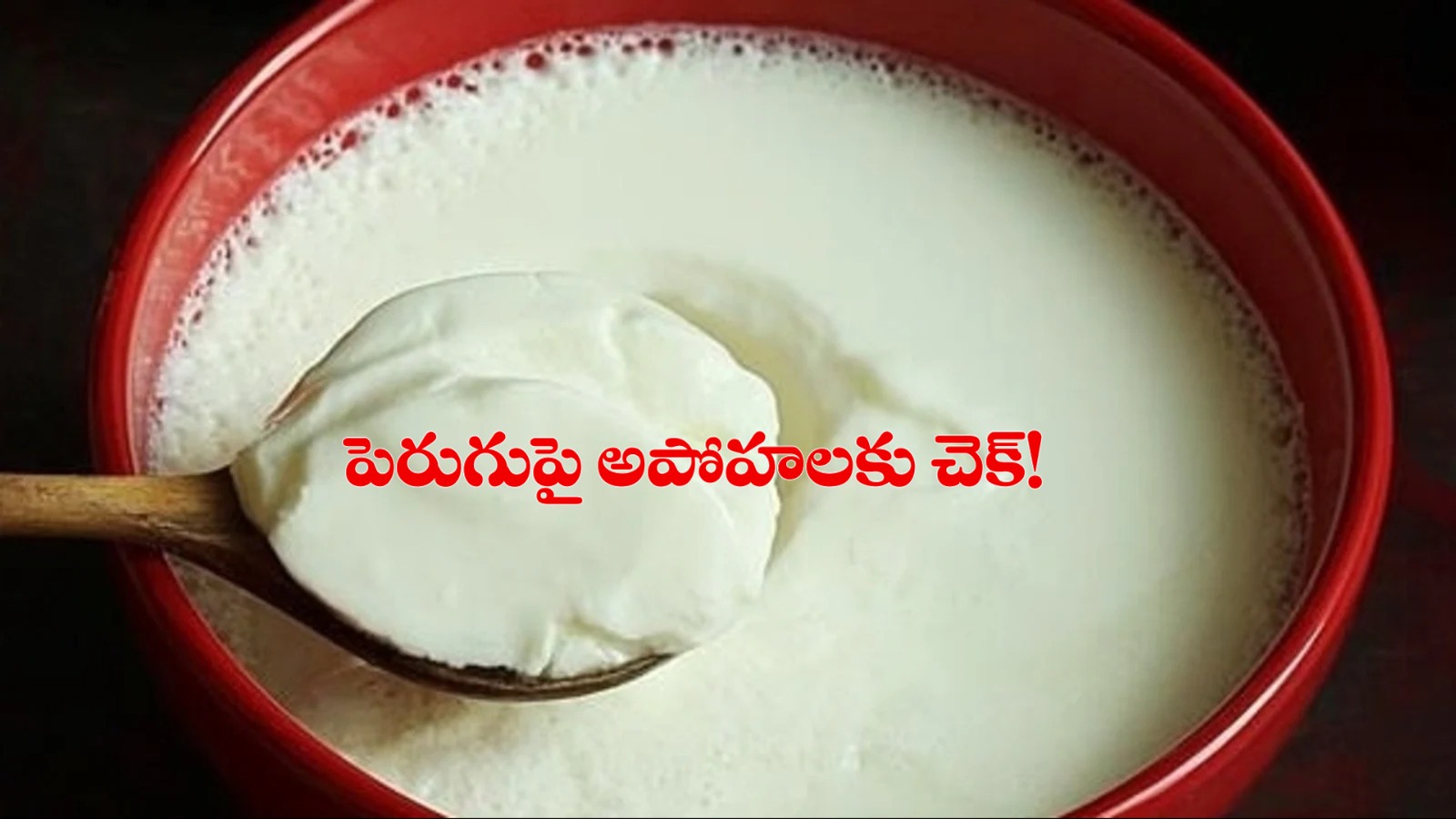 చలికాలంలో పెరుగు తినొచ్చా? నిపుణుల సూచనలు ఇవే..