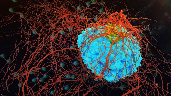 Breakthrough Cancer Research Offers New Hope with Targeted Therapy and Immunotherapy