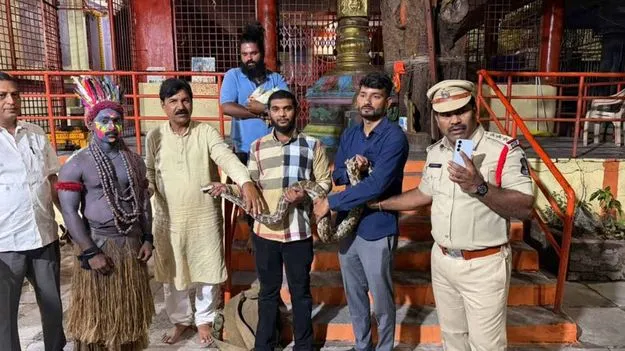 వినాయక నిమజ్జనంలో కొండచిలువతో డ్యాన్స్.. వైజాగ్ గ్రూప్పై కేసు