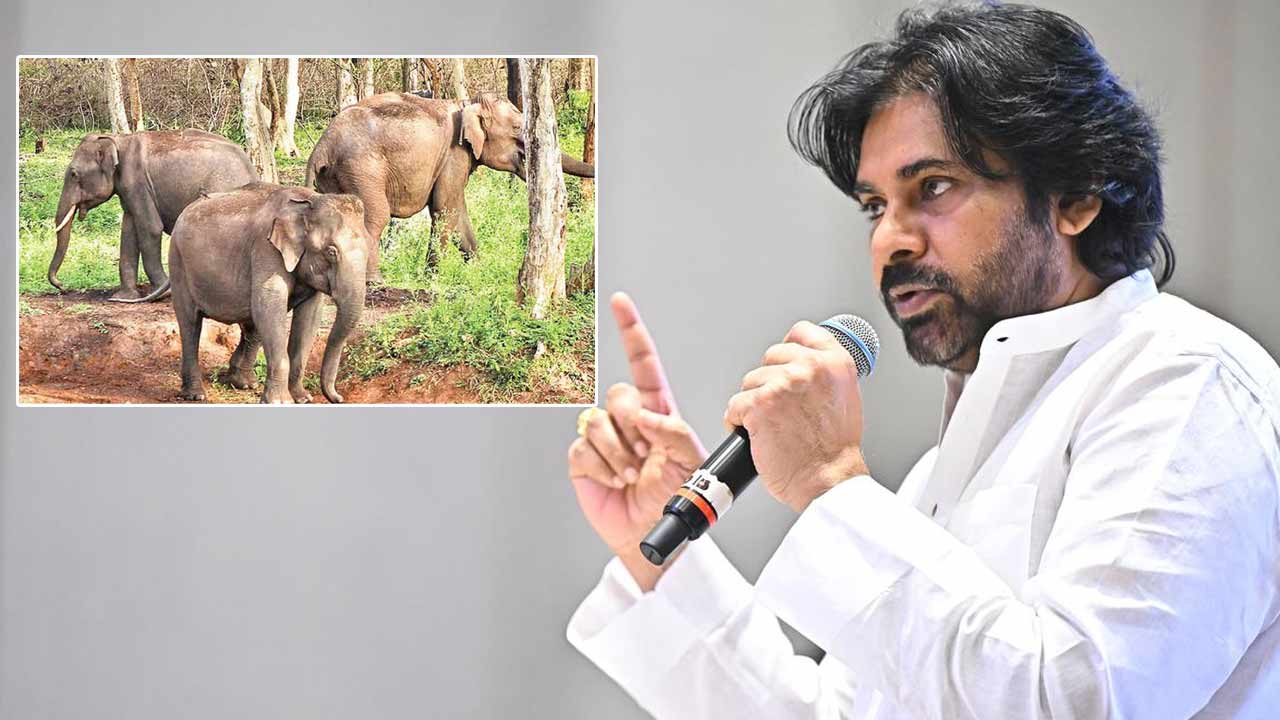 Alert People About Elephant Movement: Deputy CM Pawan Kalyan