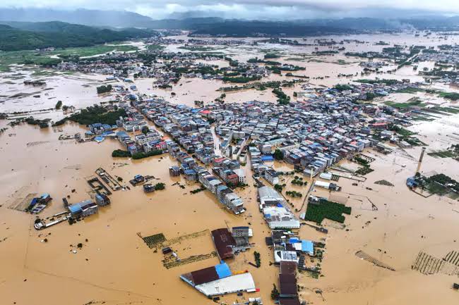 Severe Floods Ravage China, Snakes Escape from Collapsed Farm