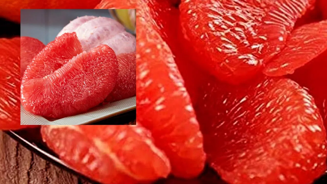Dabbakaya in Your Daily Diet.. Experts Say It May Benefit Your Health